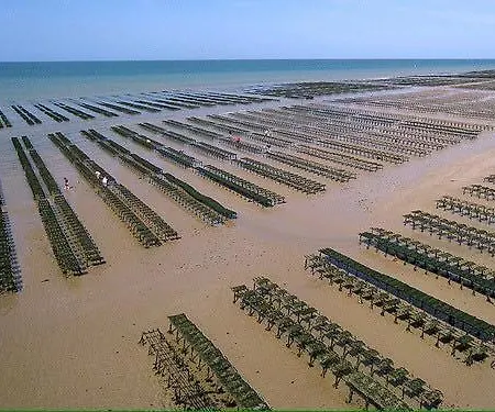 Hébergement de vacances Horizon Marin Maison Plain Pied à 150m De La D'asnelles, Vue D'une Chambre, Entièrement Rénovée En 2026, Jardin, Belle Terrasse, Parking Privatif, Au Coeur Des Plages Du Débarquement, Proche De Tous Commerces, Près De Bayeux *